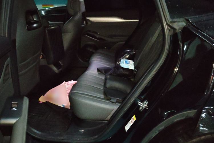 Used BYD Song L EV 2025 662 km Ultra-Range Version Left Rear Seat