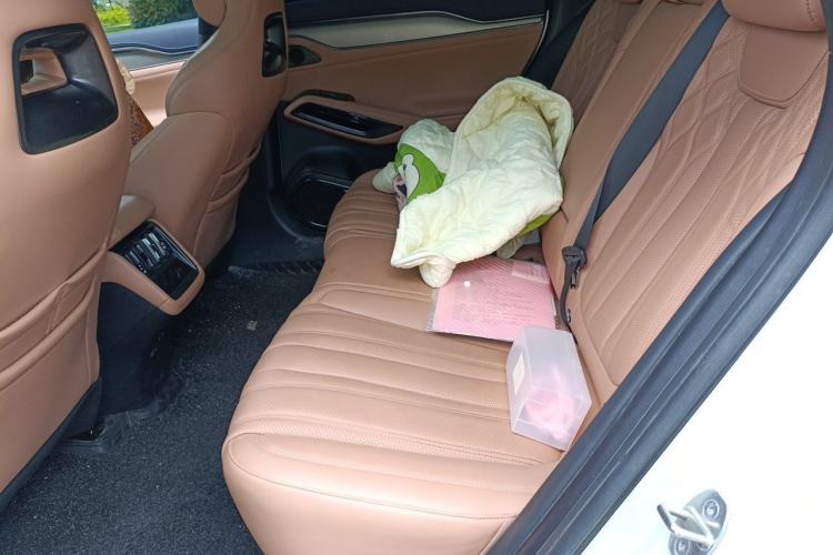 Used BYD Song L EV 2025 550 km Excellence Version Left Rear Seat
