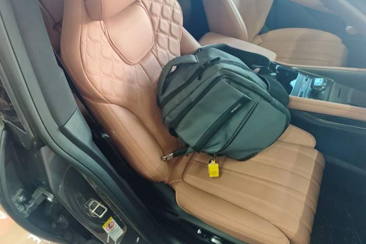 Used BYD Song L EV 2025 550 km Excellence Version Right Front Seat