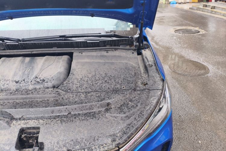 Used BYD Song MAX 2017 1.5T Automatic Smart Connect Elite 7-Seater Engine Bay Left