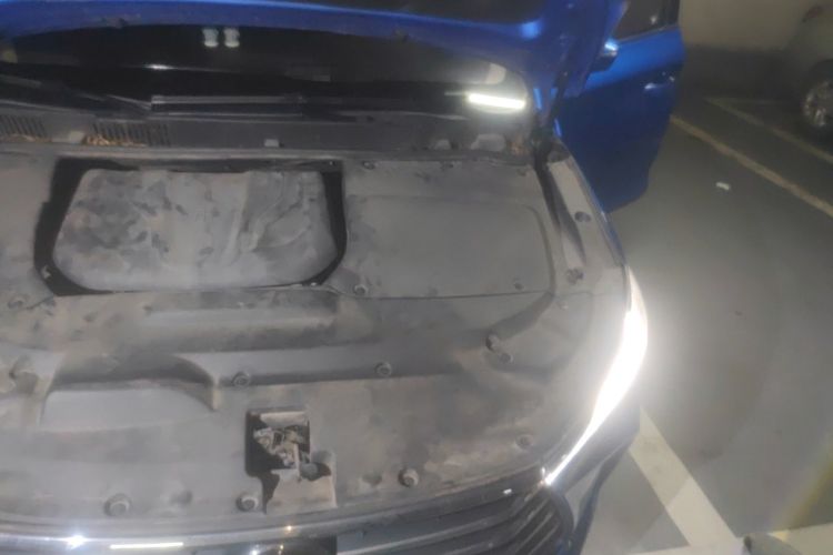 Used BYD Song MAX 2017 1.5T Automatic Smart Connect Elite 7-Seater Engine Bay Left