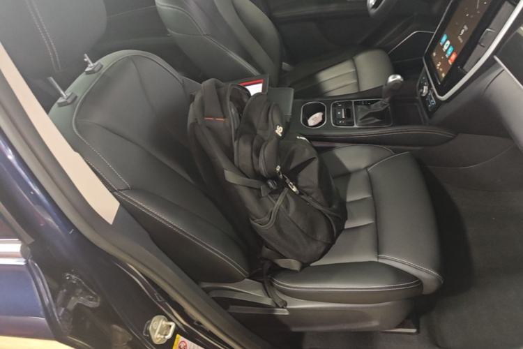 Used BYD Song MAX 2017 1.5T Automatic Smart Connect Elite 7-Seater Right Front Seat
