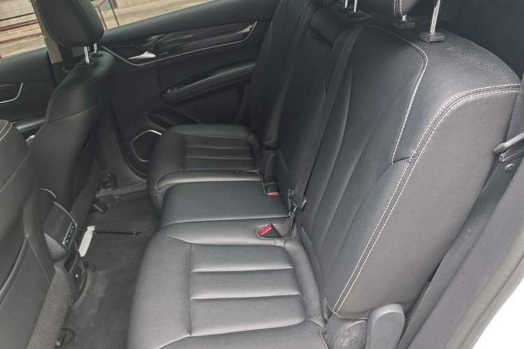 Used BYD Song MAX 2017 1.5T Automatic Smart Connect Luxury 7-Seater Left Rear Seat