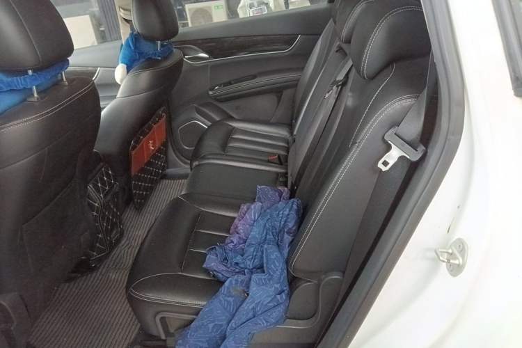 Used BYD Song MAX 2017 1.5T Automatic Smart Connect Elite 7-Seater Left Rear Seat