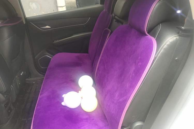 Used BYD Song MAX 2017 1.5T Manual Smart Connect Luxury 7-Seater Left Rear Seat
