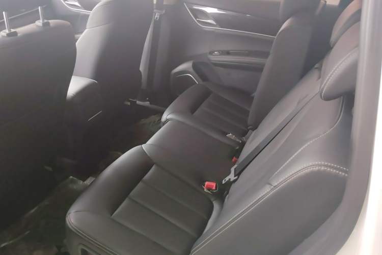 Used BYD Song MAX 2017 1.5T Manual Smart Connect Luxury 7-Seater Left Rear Seat