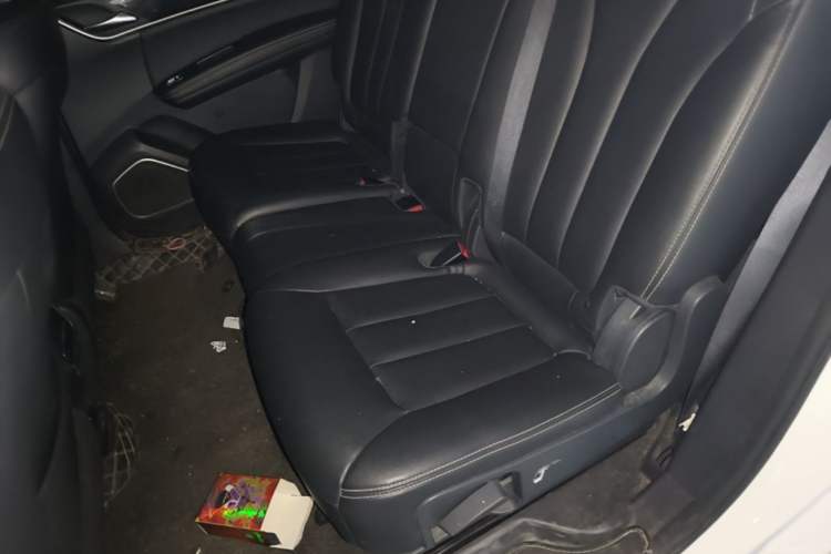Used BYD Song MAX 2017 1.5T Automatic Smart Connect Luxury 7-Seater Left Rear Seat