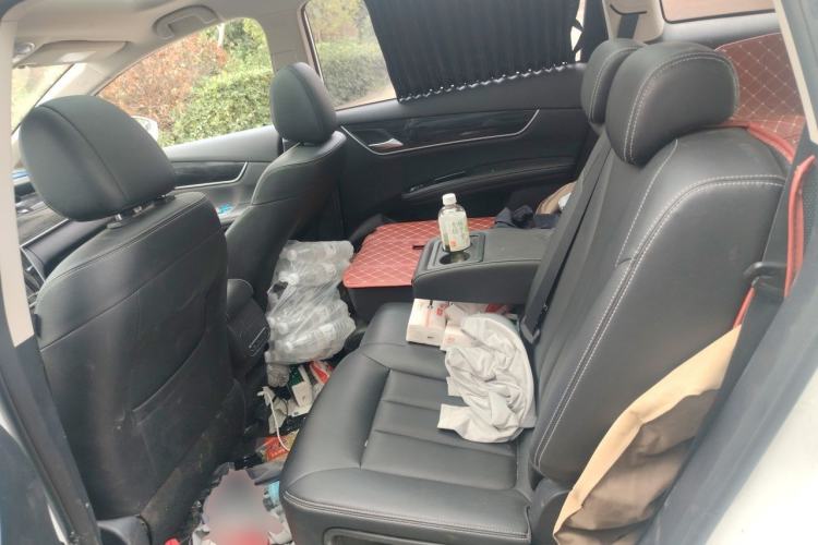 Used BYD Song MAX 2017 1.5T Automatic Smart Connect Prestige 7-Seater Left Rear Seat