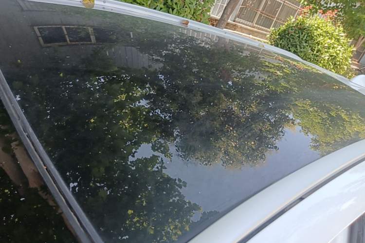 Used BYD Song MAX 2017 1.5T Automatic Smart Connect Elite 7-Seater Roof