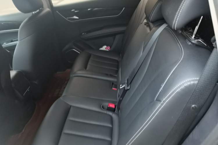 Used BYD Song MAX 2018 1.5T Automatic Smart Connect Luxury 7-Seater Left Rear Seat