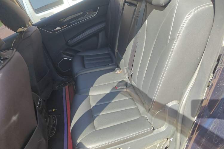 Used BYD Song MAX 2018 1.5T Automatic Smart Connect Luxury 7-Seater Left Rear Seat