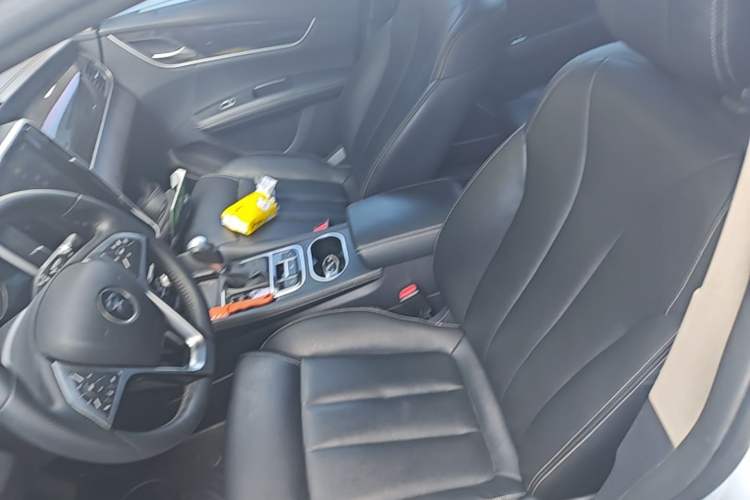 Used BYD Song MAX 2018 1.5T Automatic Smart Connect Luxury 6-Seater Left Front Seat