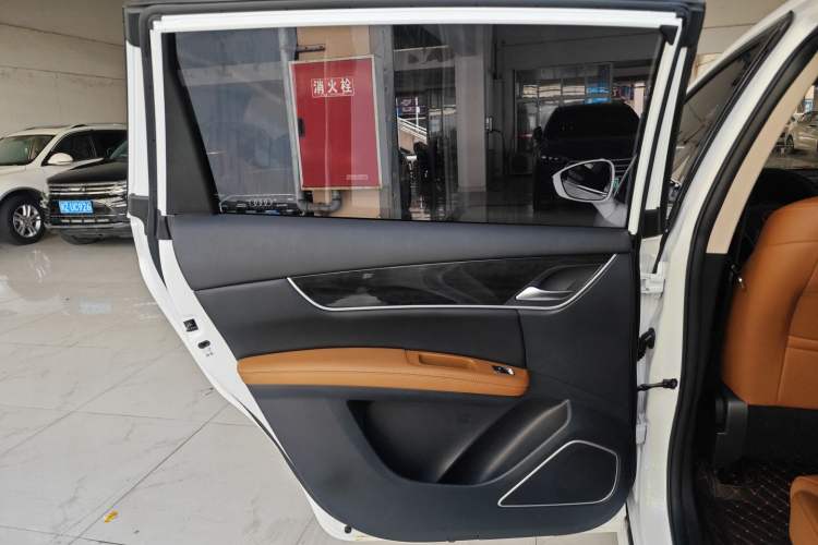 Used BYD Song MAX 2018 1.5T Automatic Smart Connect Luxury 6-Seater Left Rear Door Interior