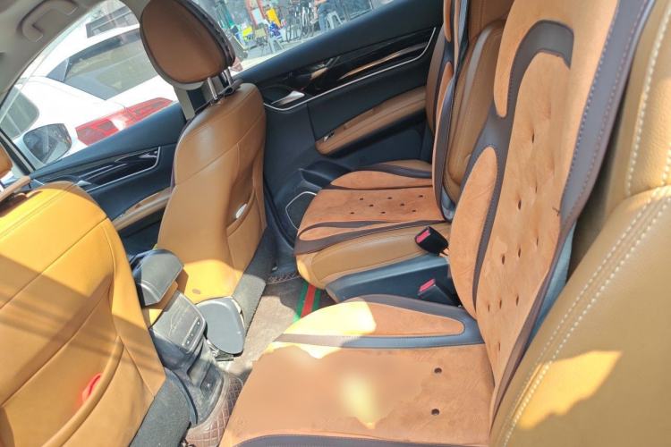 Used BYD Song MAX 2018 1.5T Automatic Smart Connect Elite Model with 6 Seats Left Rear Seat