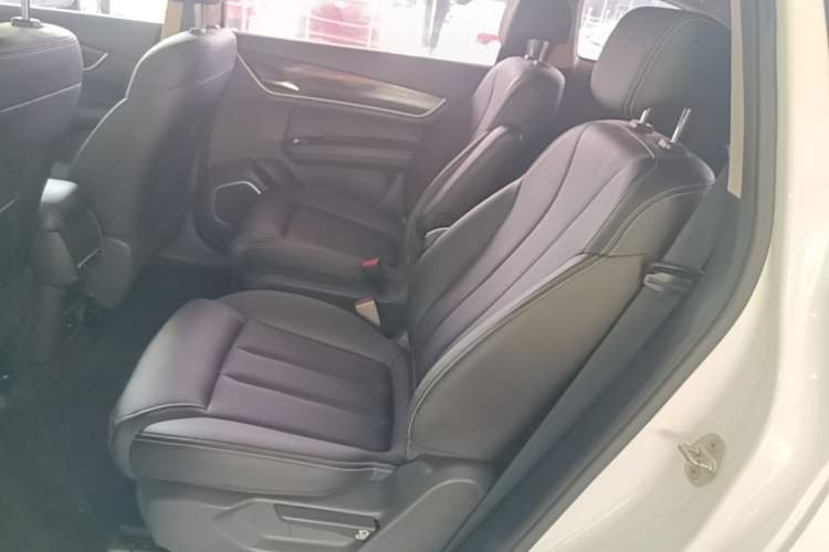 Used BYD Song MAX 2018 1.5T Automatic Smart Connect Luxury 6-Seater Left Rear Seat