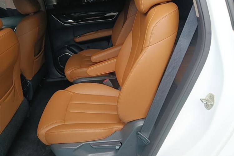 Used BYD Song MAX 2018 1.5T Automatic Smart Connect Luxury 6-Seater Left Rear Seat