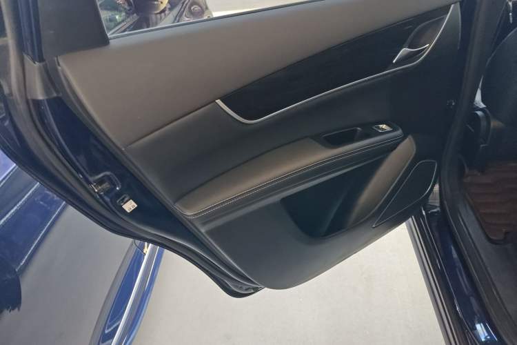 Used BYD Song MAX 2019 1.5T Automatic Smart Connect Prestige Model 6 Seats China VI Standard Left Rear Door Interior