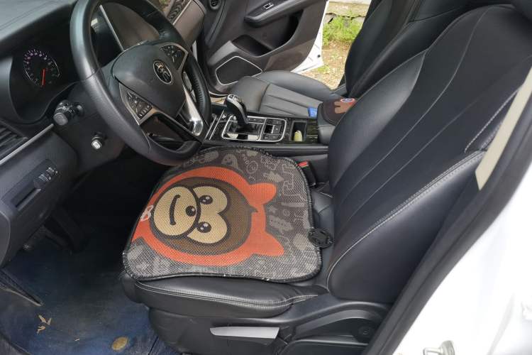 Used BYD Song MAX 2019 1.5T Automatic Smart Connect Prestige 7-Seater China VI Standard Left Front Seat
