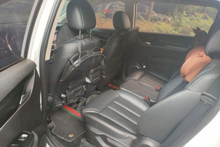 Used BYD Song MAX 2019 1.5T Automatic Smart Connect Ruiyi Sunroof Version 6 Seats China VI Standard Left Rear Seat