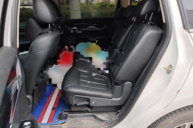 Used BYD Song MAX 2019 1.5T Automatic Smart Connect Ruiyi Model 7 Seats China V Emission Standard Left Rear Seat