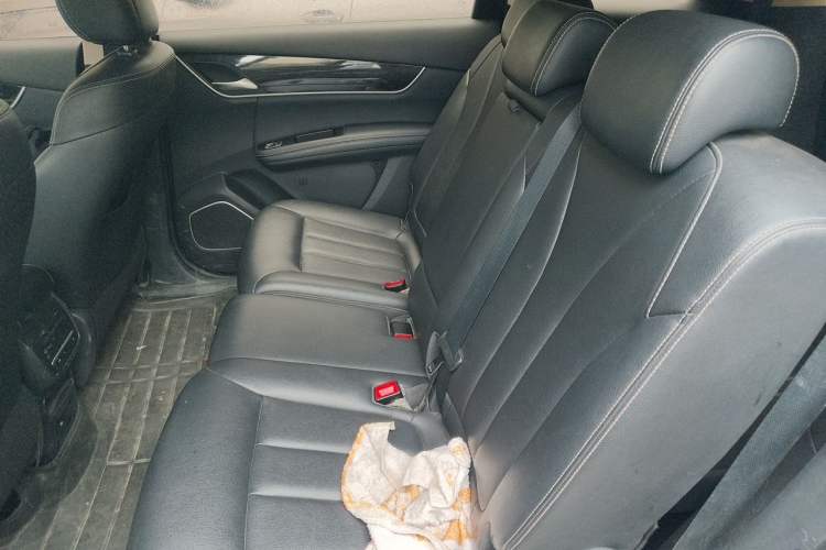 Used BYD Song MAX 2019 1.5T Automatic Smart Connect Prestige 7-Seater China V Standard Left Rear Seat