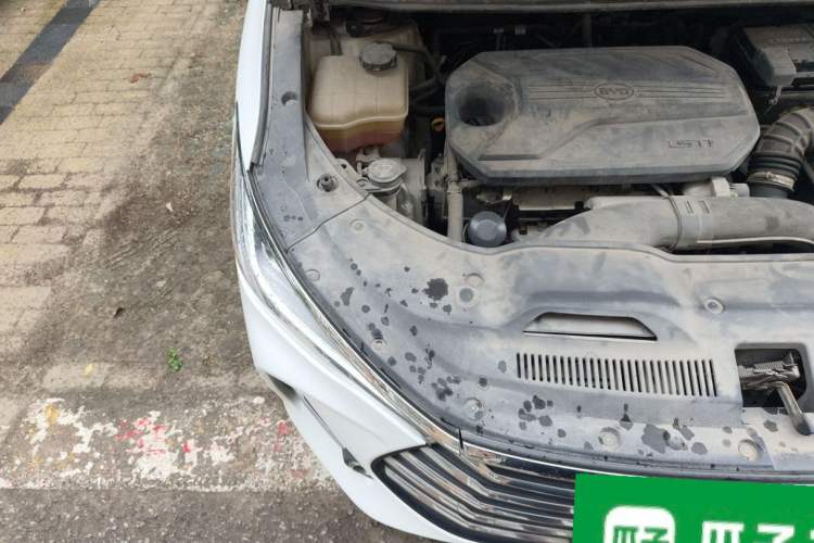 Used BYD Song MAX 2019 1.5T Automatic Smart Connect Prestige 7-Seater China V Standard Right Front Headlight