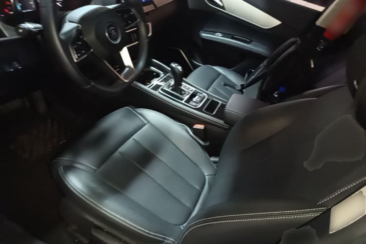 Used BYD Song MAX 2021 Upgraded Model 1.5T Automatic Luxury 7-Seater Left Front Seat