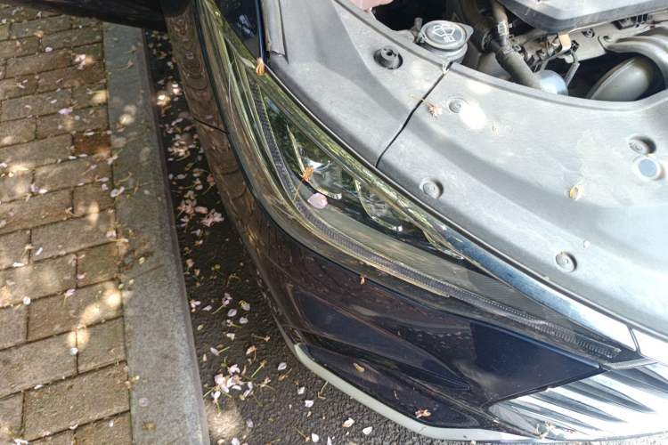 Used BYD Song MAX 2021 Upgraded Model 1.5T Automatic Prestige 7-Seater Right Front Headlight