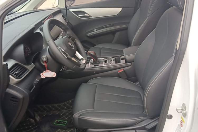 Used BYD Song MAX 2021 Upgraded Model 1.5T Automatic Luxury 7-Seater Left Front Seat