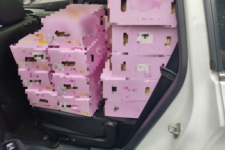 Used BYD Song MAX 2021 Upgraded Model 1.5T Automatic Prestige 7-Seater Left Rear Seat