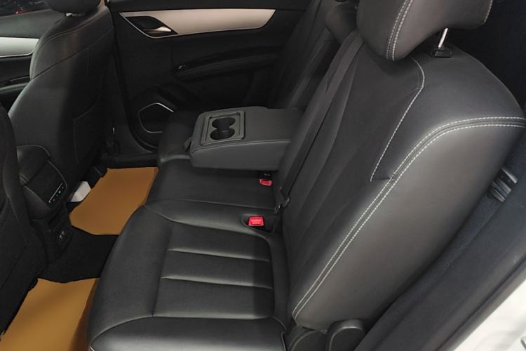 Used BYD Song MAX 2021 Upgraded Model 1.5T Automatic Prestige 7-Seater Left Rear Seat