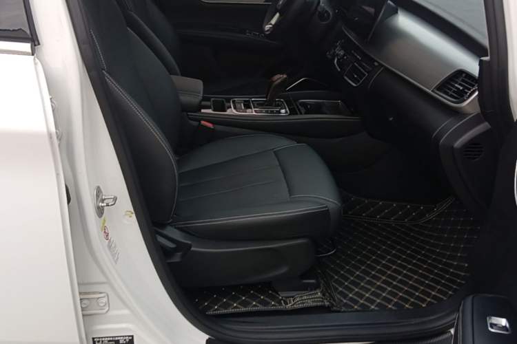 Used BYD Song MAX 2021 Upgraded Model 1.5T Automatic Luxury 7-Seater Right Front Seat