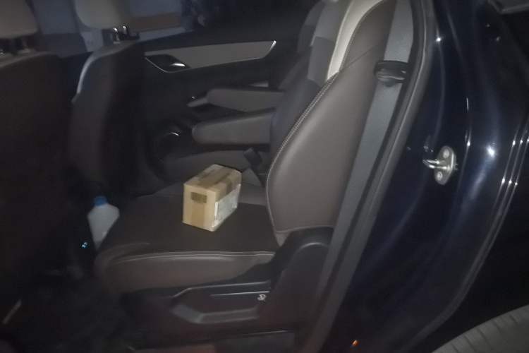 Used BYD Song MAX New Energy 2022 DM-i 105KM Executive Edition Left Rear Seat