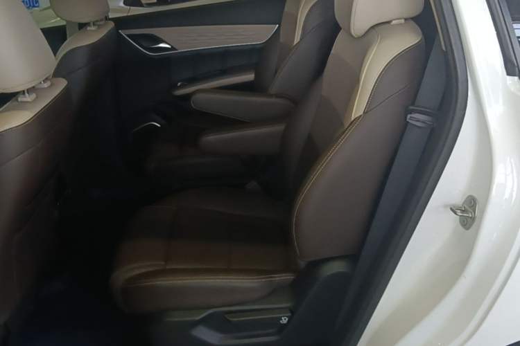 Used BYD Song MAX New Energy 2022 DM-i 105KM Executive Edition Left Rear Seat