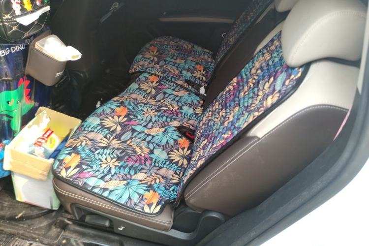 Used BYD Song MAX New Energy 2022 DM-i 105KM Flagship Model Left Rear Seat
