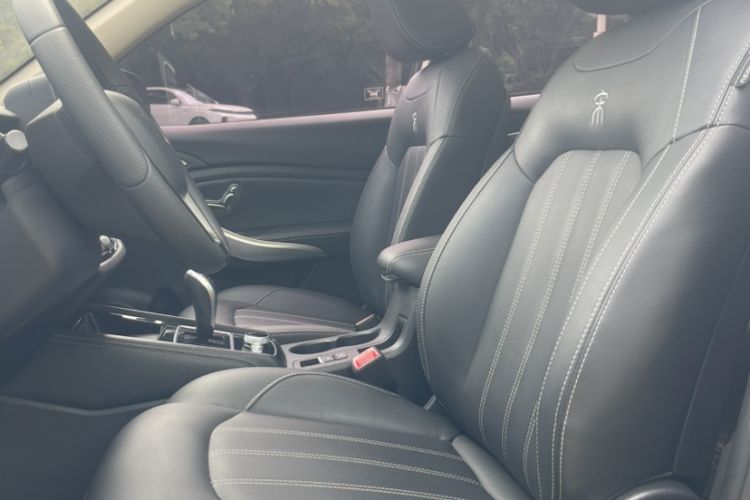 Used BYD Song New Energy 2019 Song DM 1.5TID Smart Connect Dynamic Model Left Front Seat