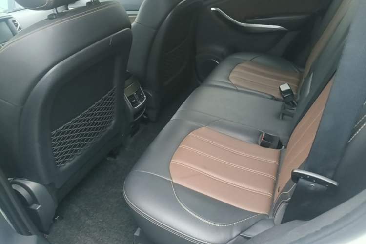 Used BYD Song New Energy 2017 Song DM 1.5TID All-Wheel Drive Luxury Model Left Rear Seat