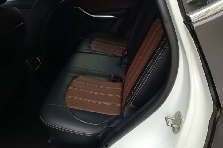 Used BYD Song New Energy 2017 Song DM 1.5TID All-Wheel Drive Luxury Model Left Rear Seat