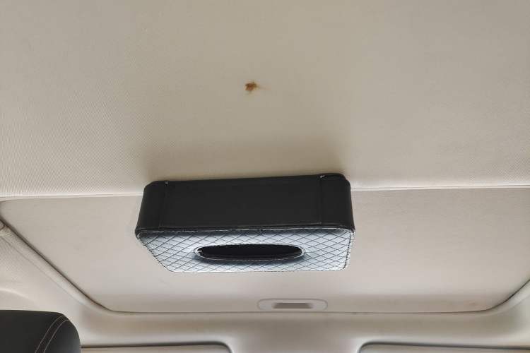Used BYD Song New Energy 2017 Song DM 1.5TID All-Wheel Drive Luxury Model Headliner