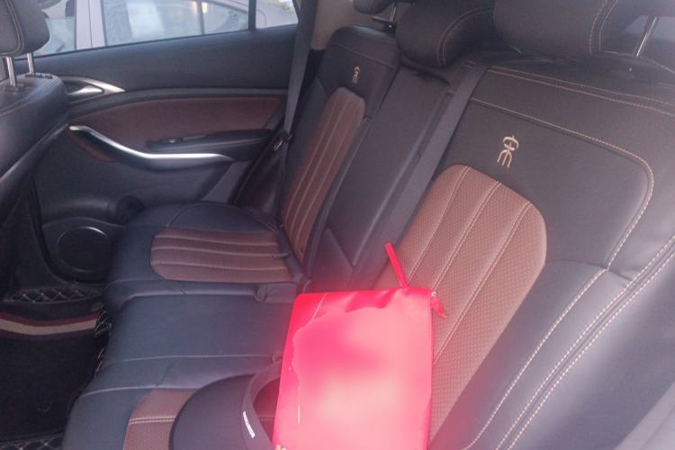 Used BYD Song New Energy 2017 Song EV300 Prestige Model Left Rear Seat