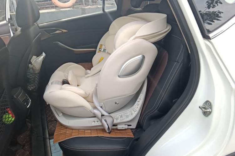 Used BYD Song New Energy 2017 Song DM 1.5TID All-Wheel Drive Prestige Model Left Rear Seat