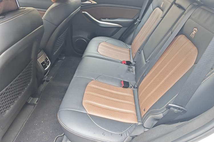 Used BYD Song New Energy 2017 Song DM 1.5TID All-Wheel Drive Luxury Model Left Rear Seat
