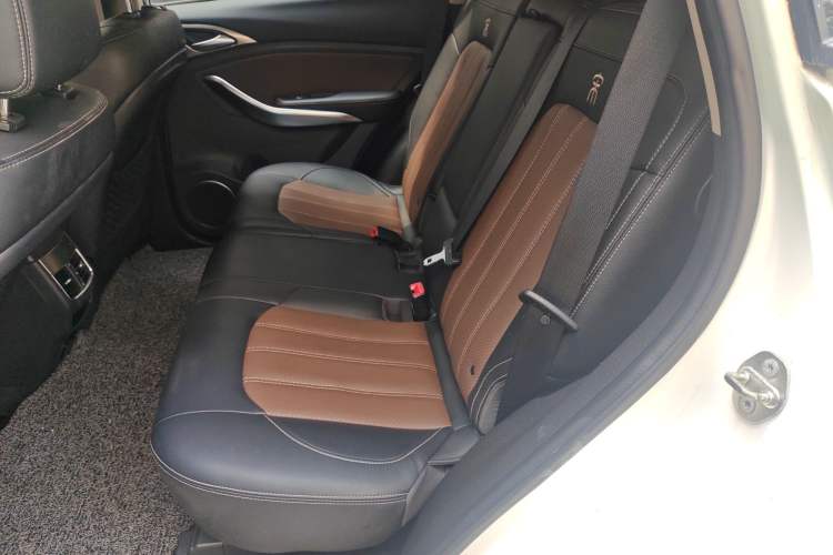 Used BYD Song New Energy 2017 Song DM 1.5TID All-Wheel Drive Luxury Model Left Rear Seat