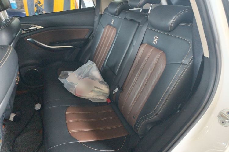 Used BYD Song New Energy 2017 Song DM 1.5TID All-Wheel Drive Luxury Model Left Rear Seat