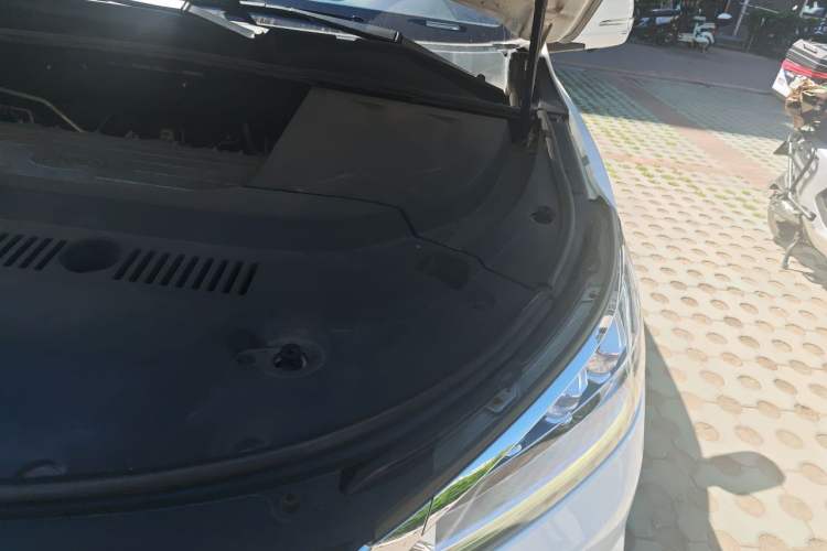 Used BYD Song New Energy 2018 Song EV400 Smart Connectivity Enjoyment Model Engine Bay Left