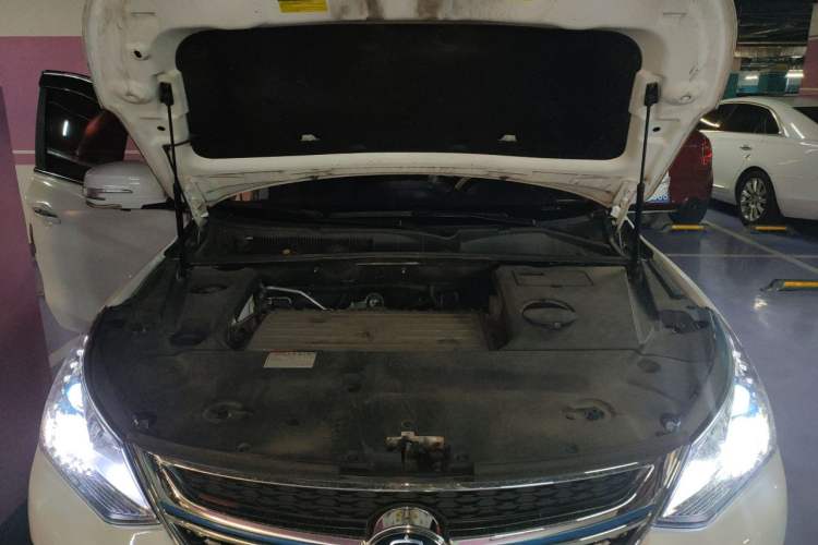 Used BYD Song New Energy 2018 Song EV400 Smart Connectivity Advanced Model Engine Bay