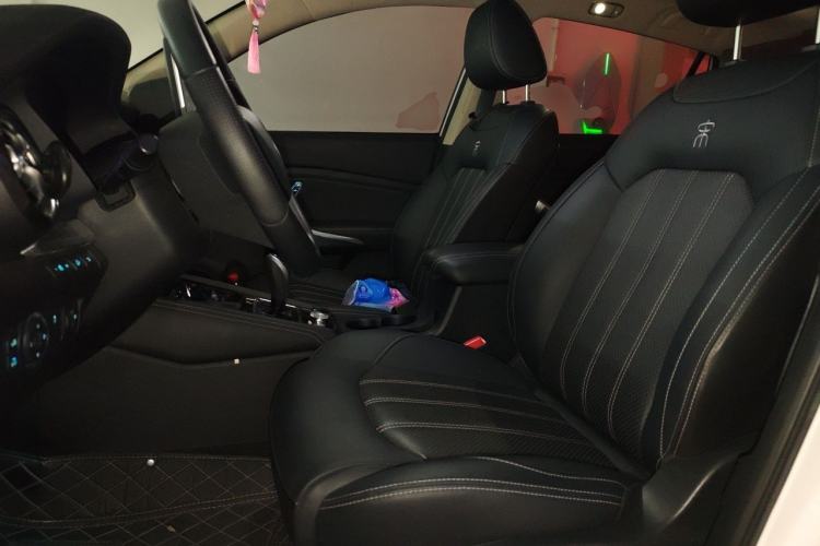 Used BYD Song New Energy 2019 Song DM 1.5TID Smart Connect Sharp Edition Left Front Seat