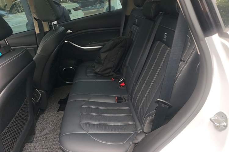 Used BYD Song New Energy 2019 Song DM 1.5TID Smart Connect Sharp Edition Left Rear Seat
