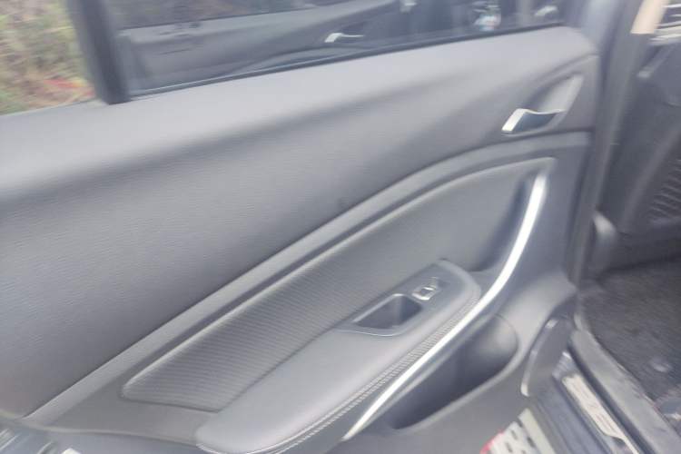 Used BYD Song New Energy 2019 Song DM 1.5TID Smart Connect Premium Model Left Rear Door Interior