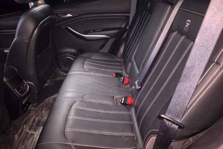Used BYD Song New Energy 2019 Song DM 1.5TID Smart Connect Premium Model Left Rear Seat